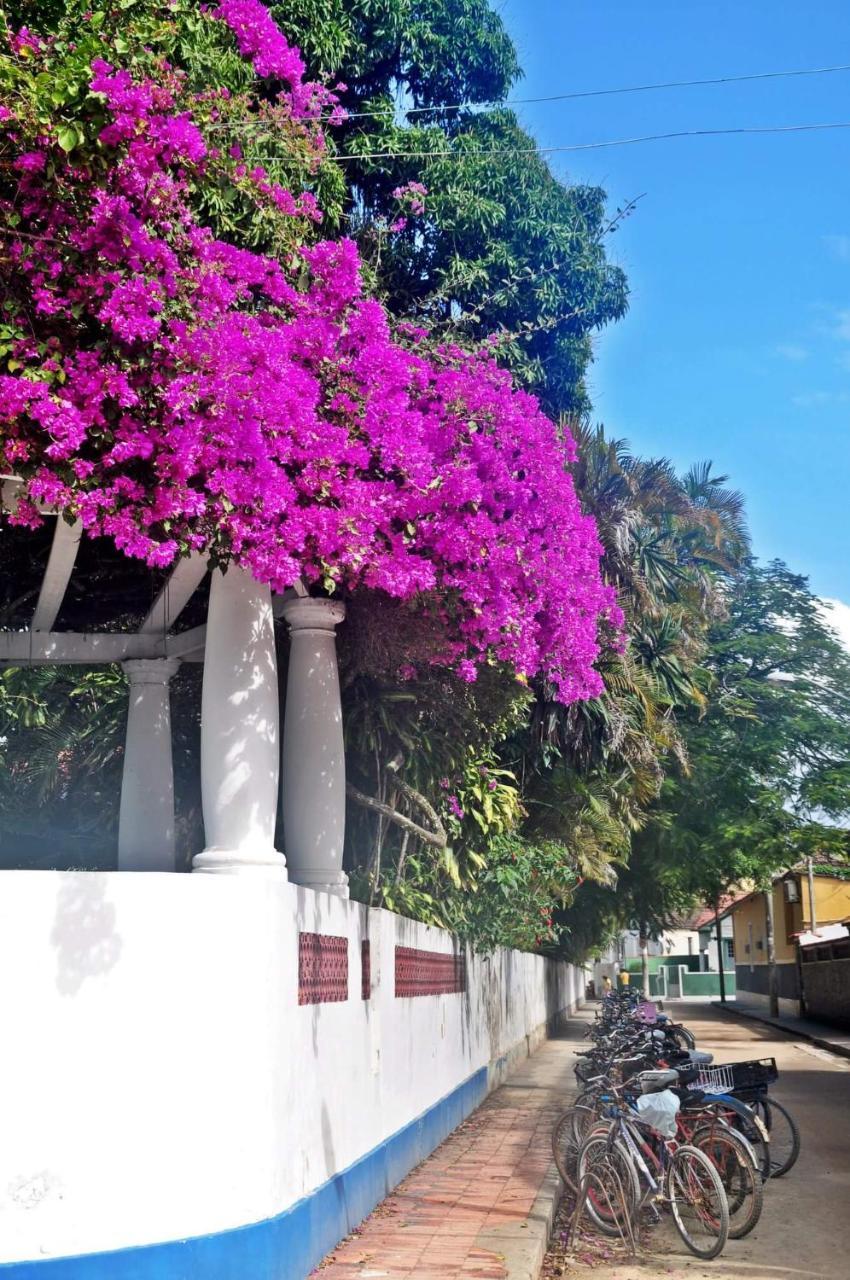 Casa Da Coruja Bed & Breakfast Rio de Janeiro Exterior photo